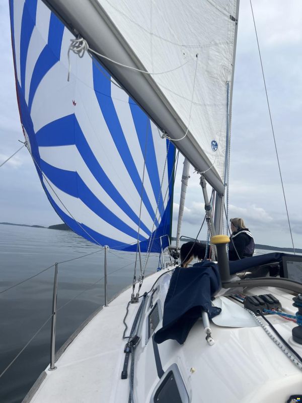 Elan 31