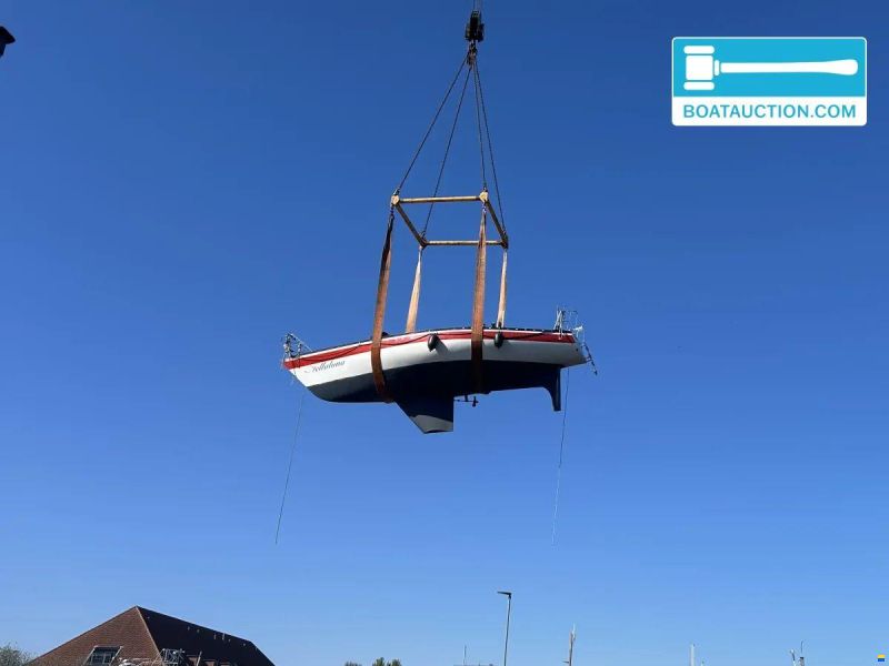 Helmsman 31