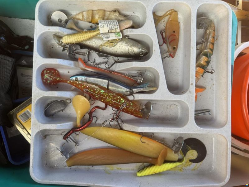 Thoma 600 Sunny inkl. Fischerzubehör