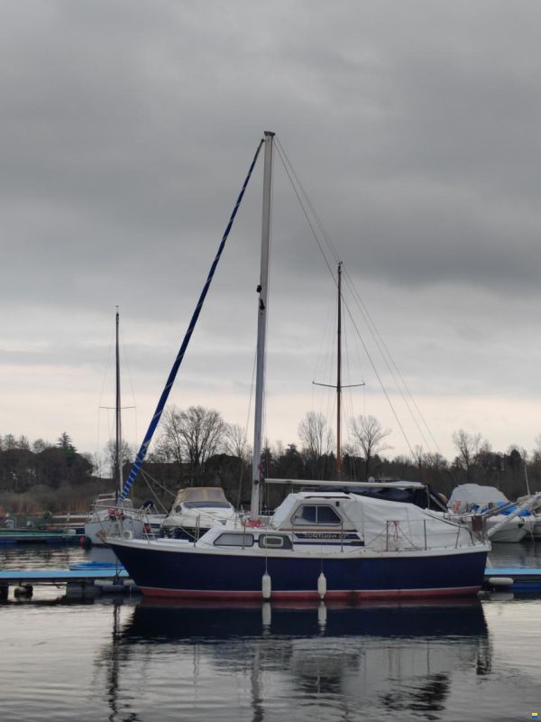 Tortuga 27