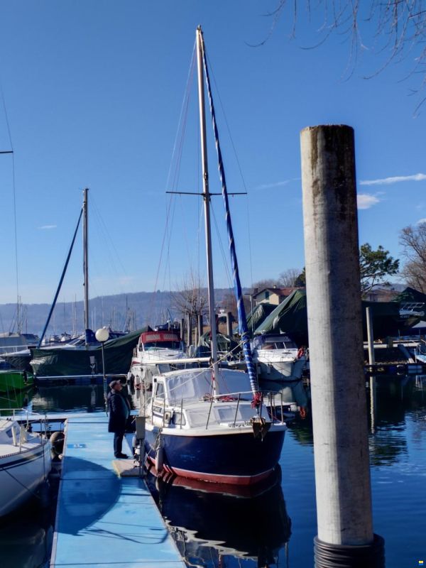 Tortuga 27