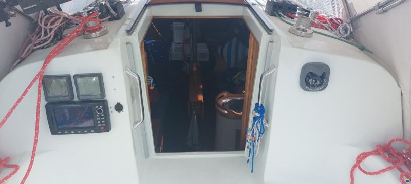 Hunter Ranger 265