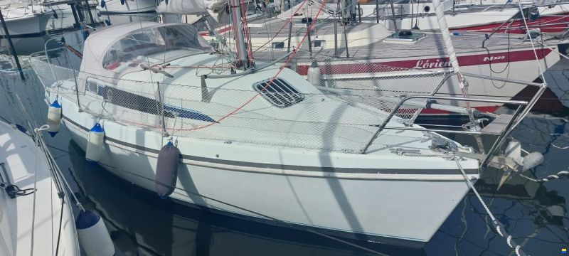 Hunter Ranger 265