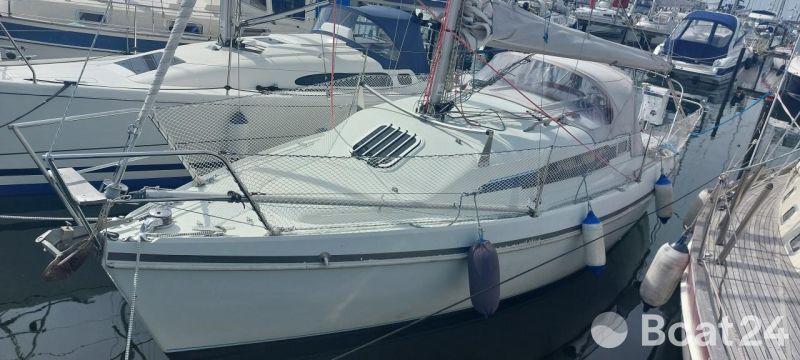 Hunter Ranger 265