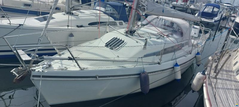 Hunter Ranger 265