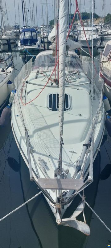 Hunter Ranger 265