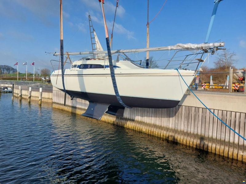 Hunter Ranger 265