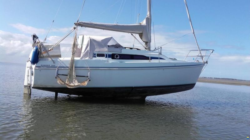Hunter Ranger 265