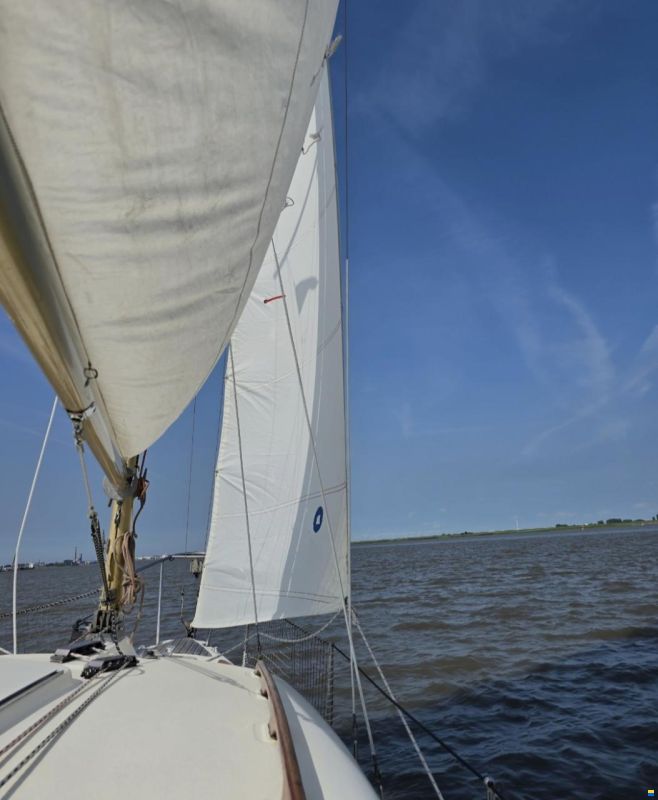 Cobramold Leisure 22