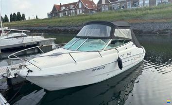 Sessa Islamorada 23