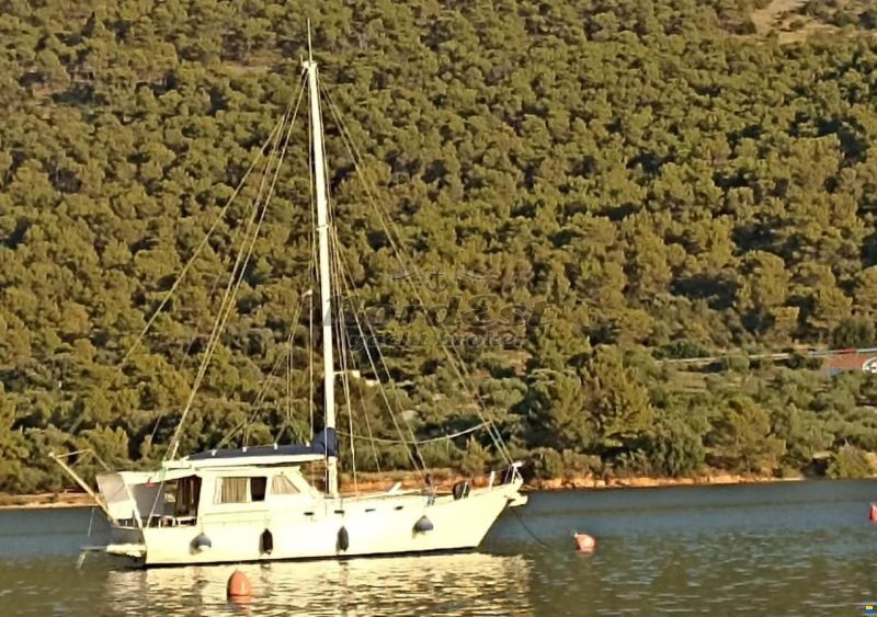 Franchini Motorsailer