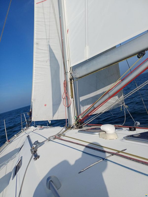 Poncin Harmony 42