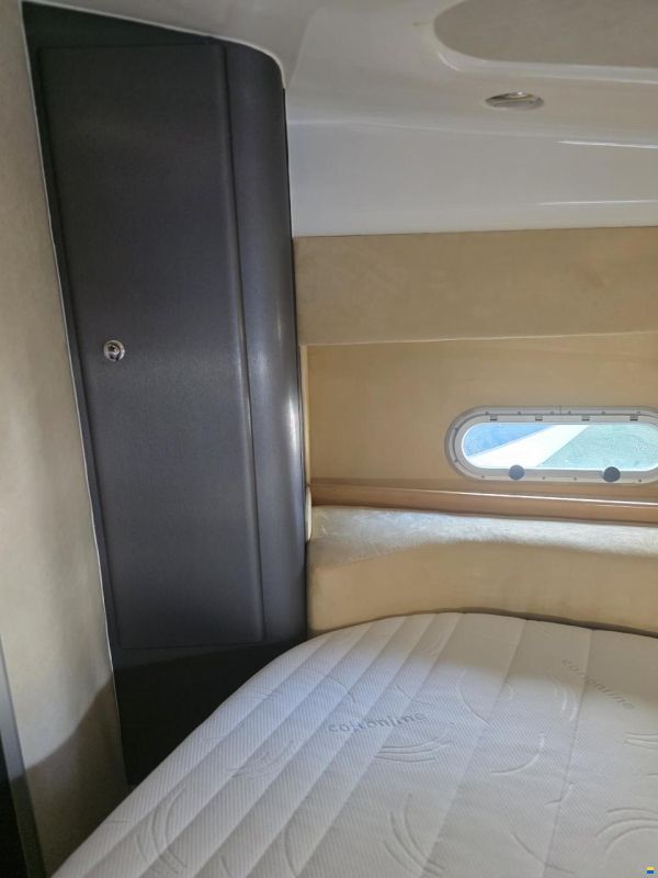 Sealine F33