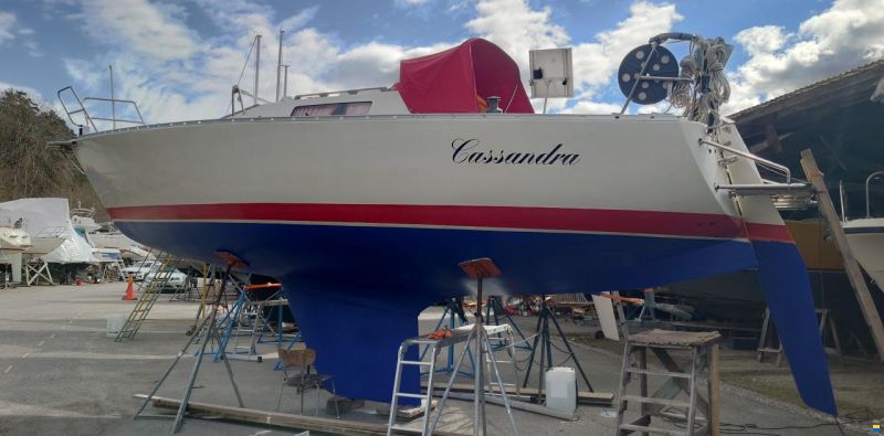Albin Cumulus 28