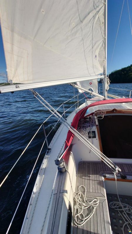 Albin Cumulus 28