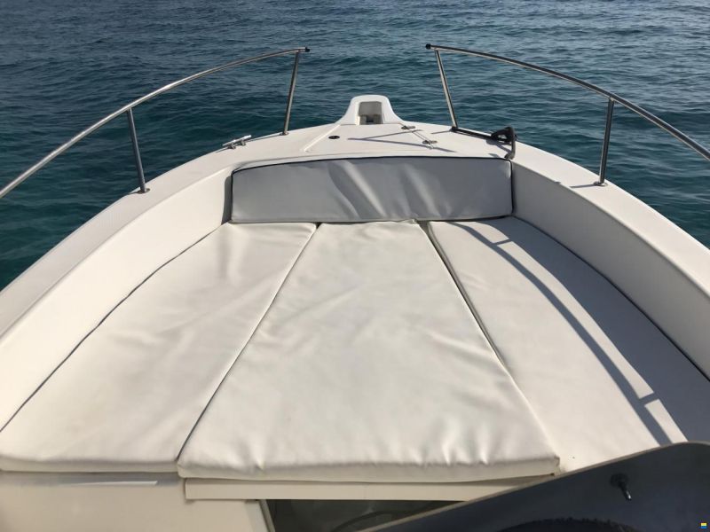White Shark 225
