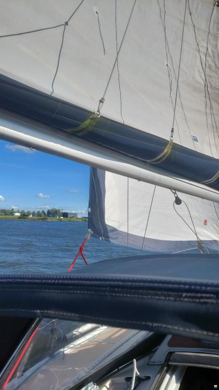 Dehler Optima 101