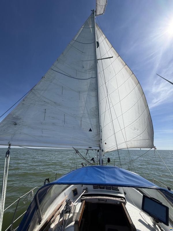 Defender 32