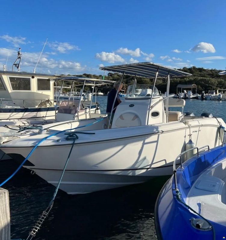 Boston Whaler 240 OUTRAGE