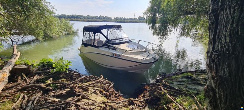 Quicksilver Ambarcatiune Quiksiver 555 Cabin
