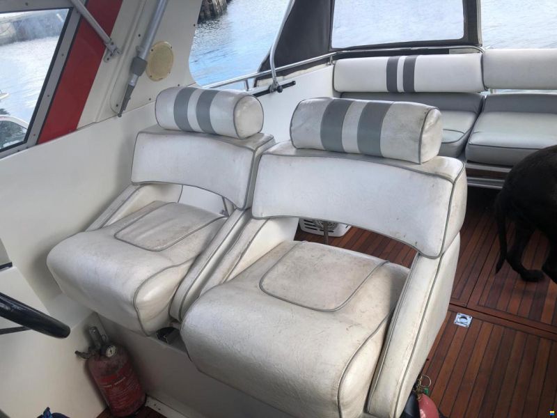 Fjord Dolphin 900