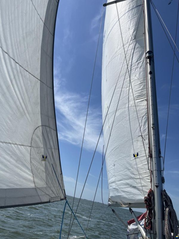 Hallberg-Rassy 312 MK 1