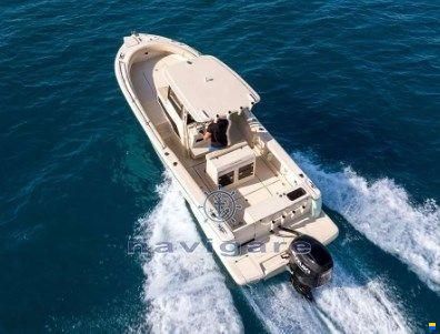 Tuccoli Marine T250 VMax