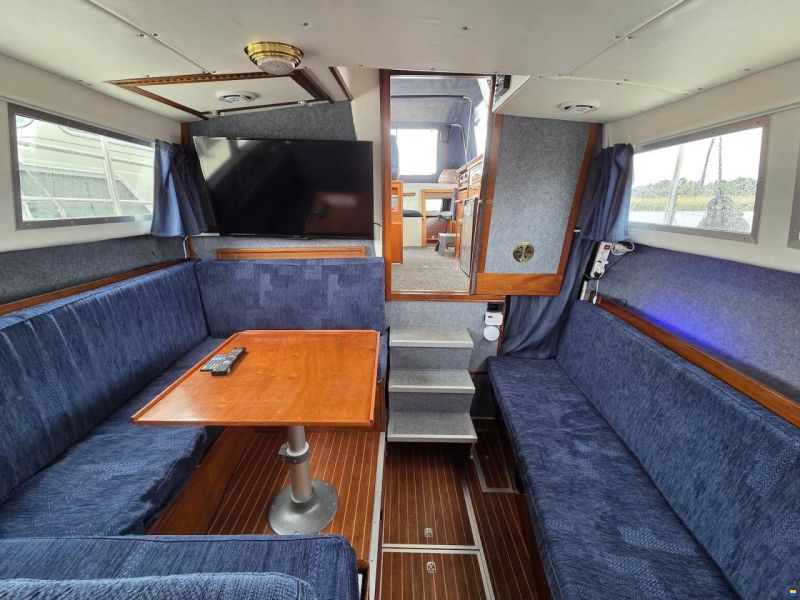 Comet Commander 31