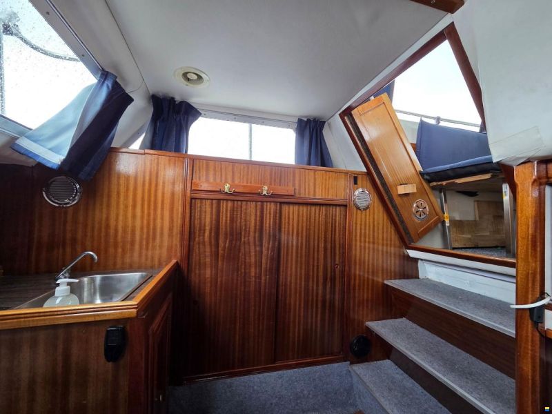 Comet Commander 31