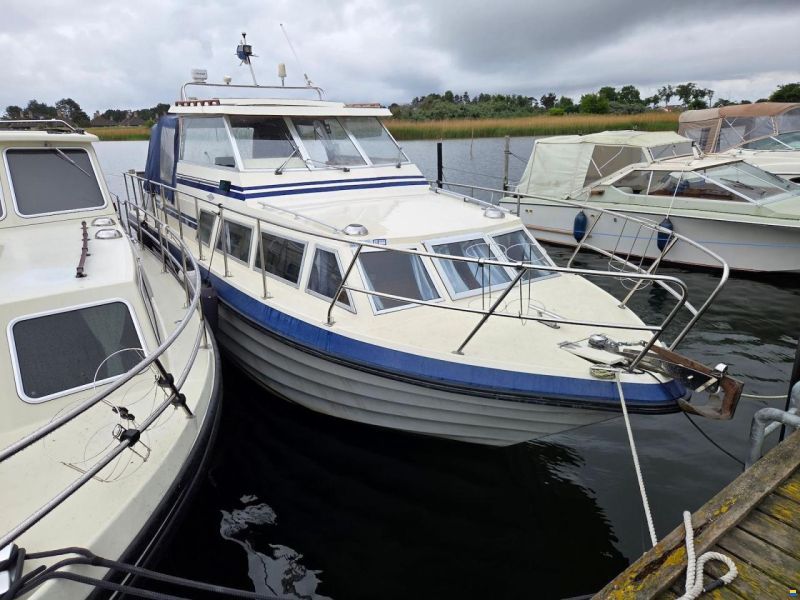 Comet Commander 31