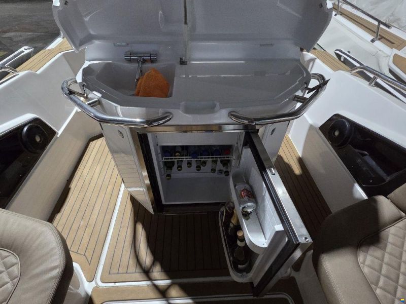 Salpa Soleil 33