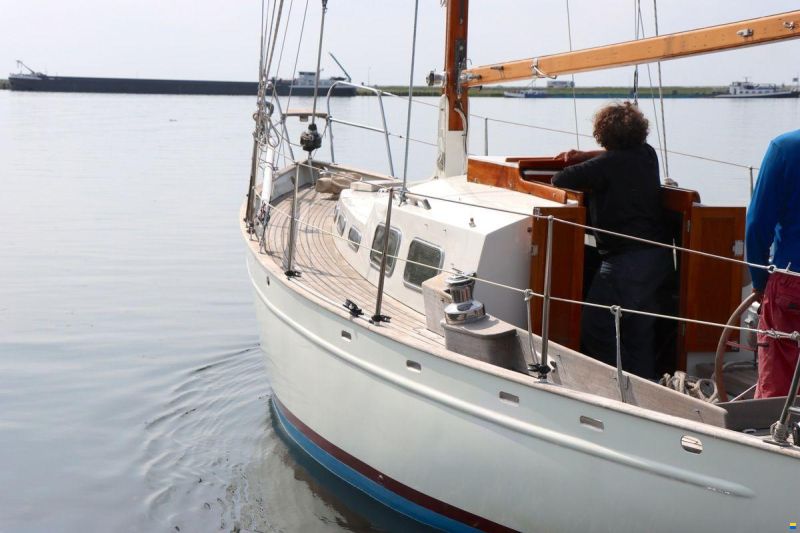 Trintel 2a