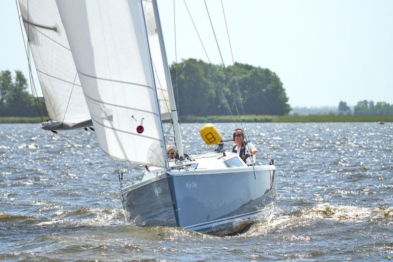 Pointer 25