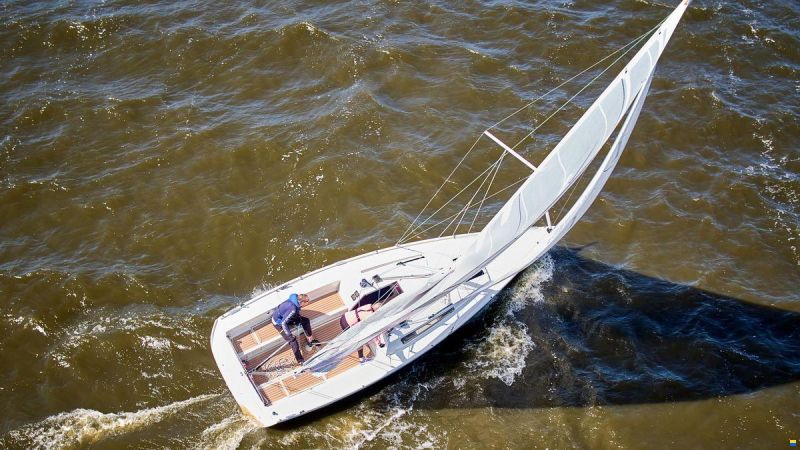 Pointer 25