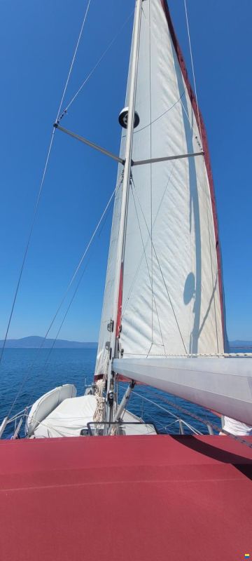 Reinke 13M