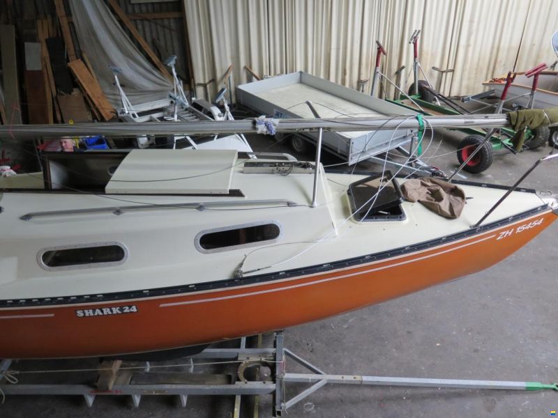 Shark 24