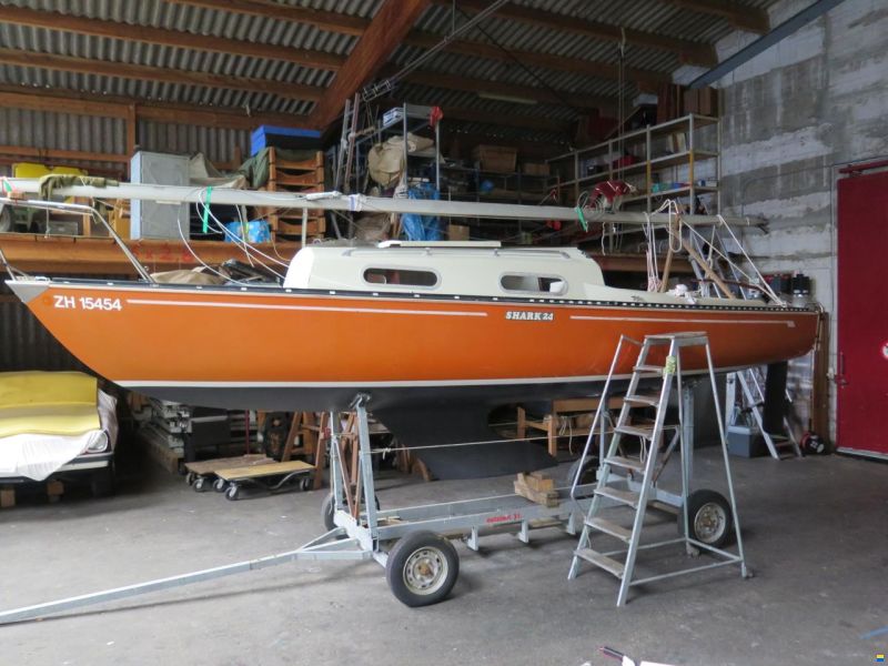 Shark 24