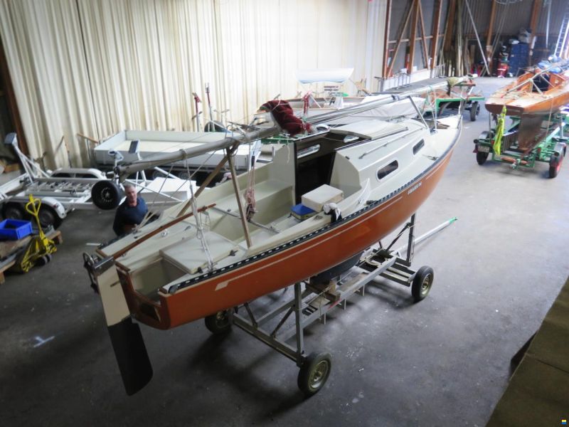 Shark 24