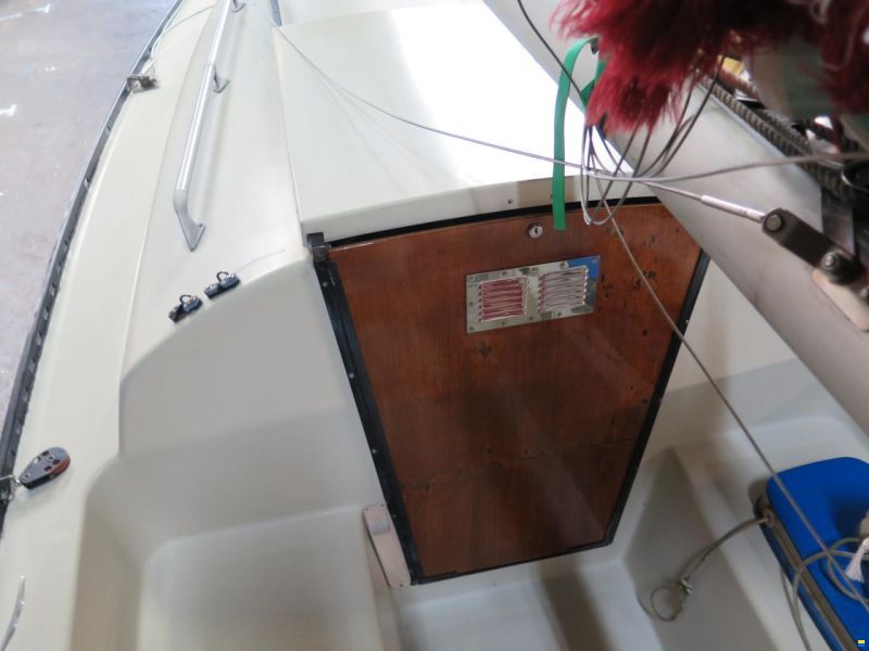 Shark 24