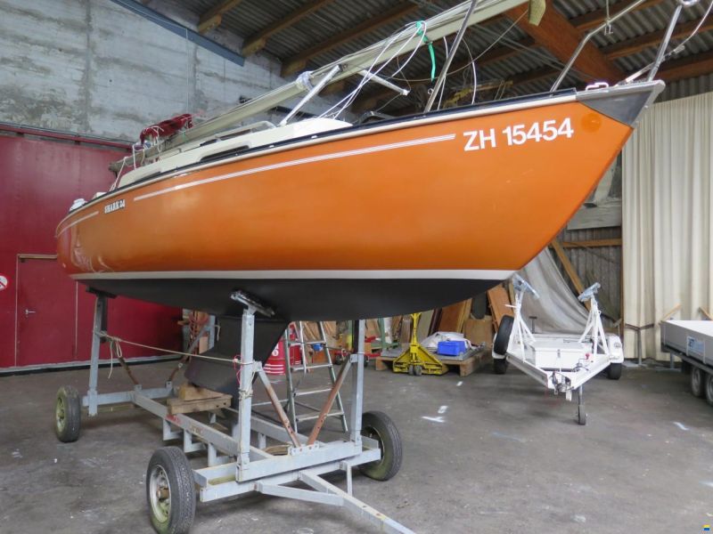 Shark 24