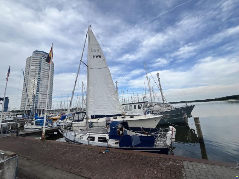 Fellowship 28