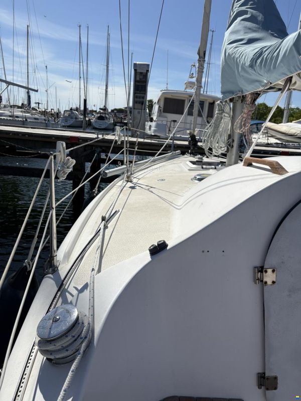 Sagitta 20