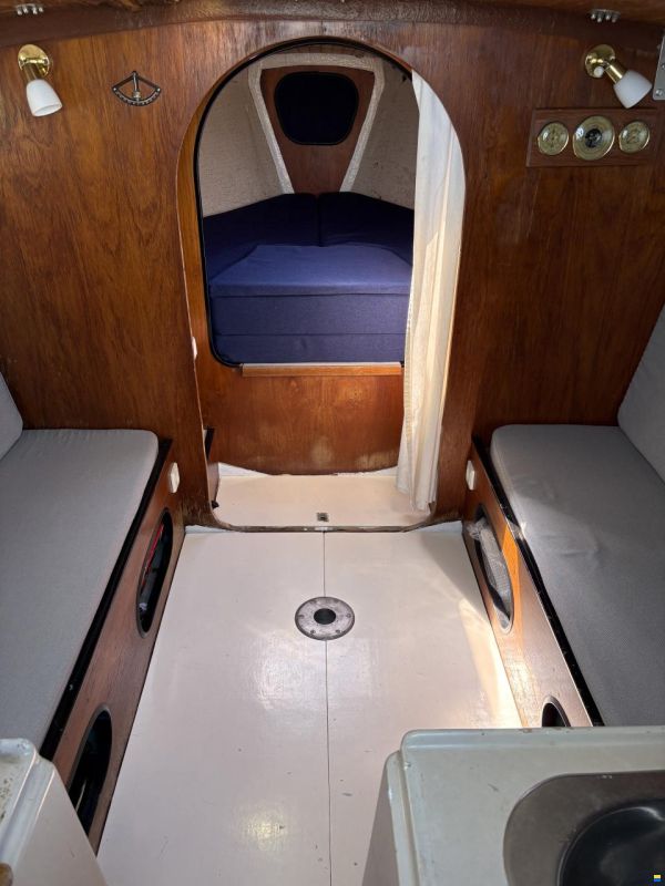 Sagitta 20