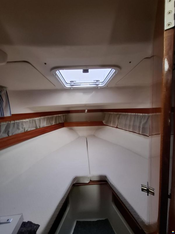 ACM Dufour ACM 31 Elite