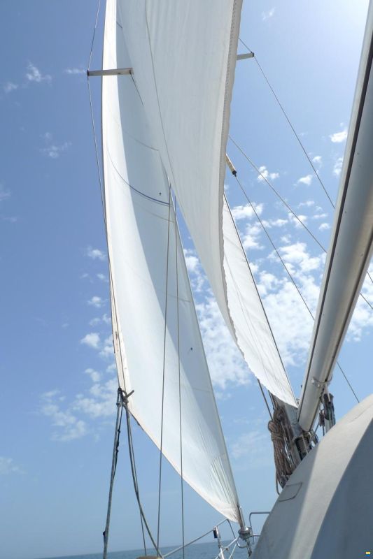 Hallberg-Rassy 352