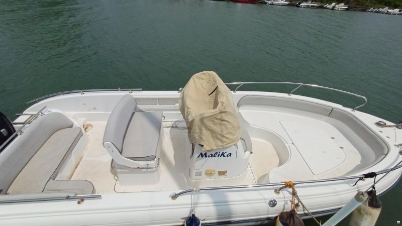 Ranieri Voyager 24