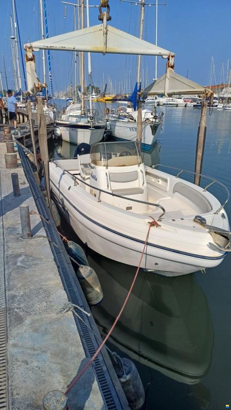 Ranieri Voyager 24