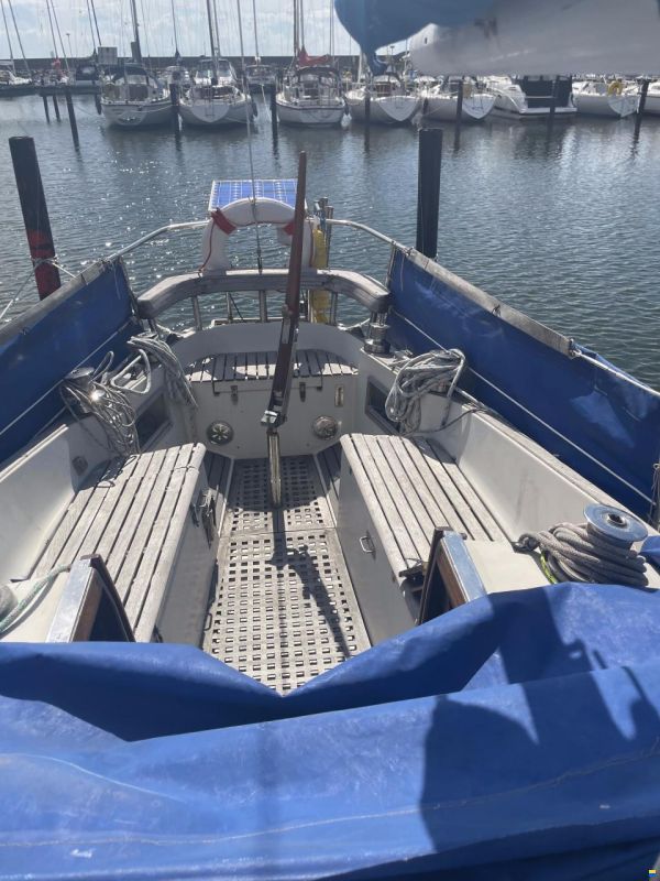 Bianca Commander 31