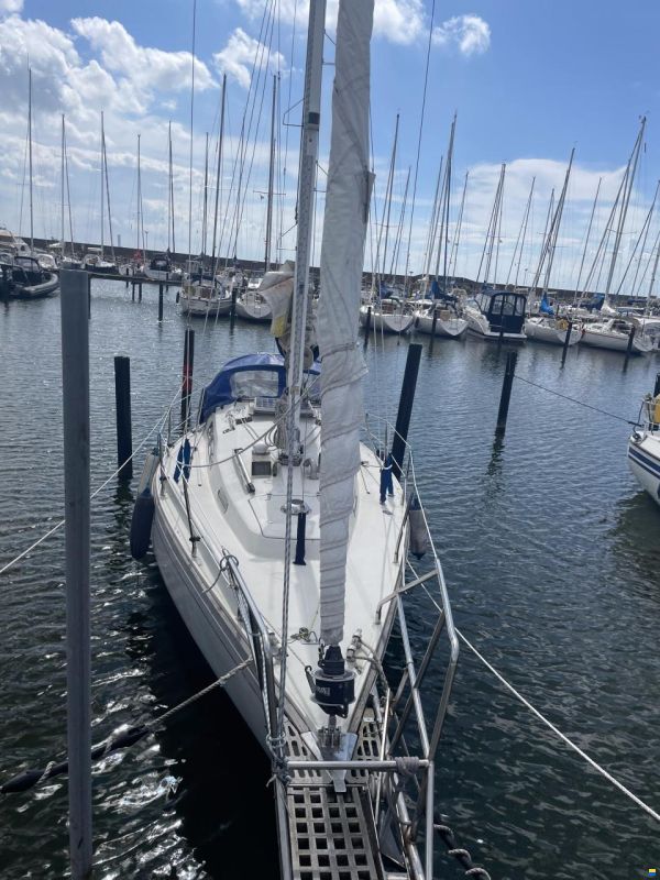 Bianca Commander 31