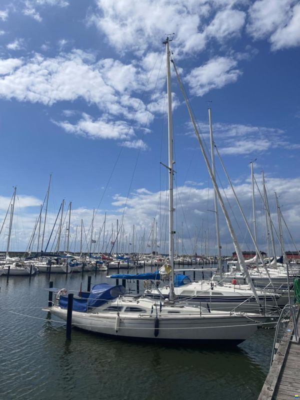 Bianca Commander 31